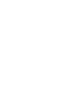 IvyBears Vitamin Gummies